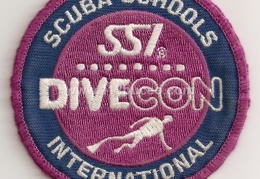 ssi divecon