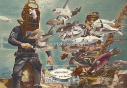 diver feeding fish marineland pacific