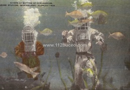 marineland divers at bottom 53k