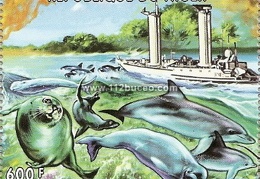 niger cousteau alcyone