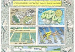 sheet palau giant clams