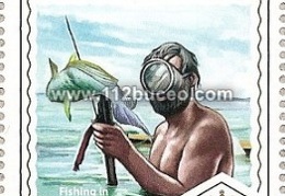 solomon fishing