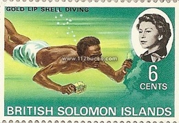 solomon gold lip shell diving