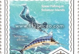 solomon spearfishing