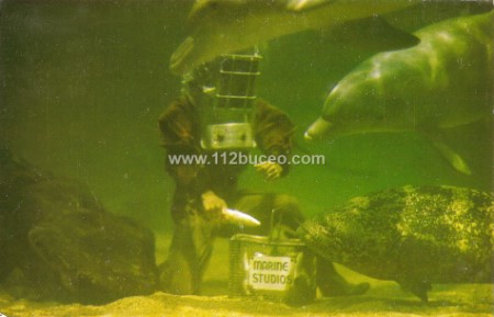 marineland_1935.jpg