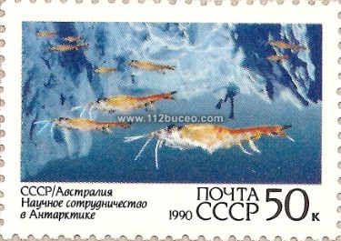cccp_ice_diving_1990.jpg