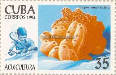 cuba_acuicultura_1994.jpg