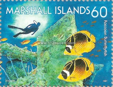 marshall_diving_60_butterflyfish.jpg