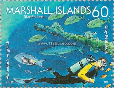 marshall_diving_60_gray_reef_shark.jpg