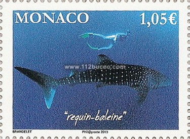 monaco_requins_requin_baleine.jpg
