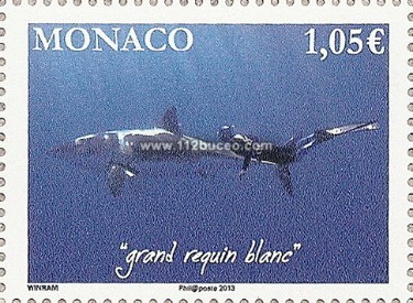 monaco_requins_requin_blanc.jpg