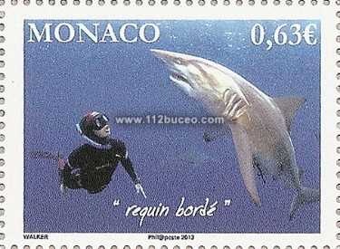 monaco_requins_requin_borde.jpg