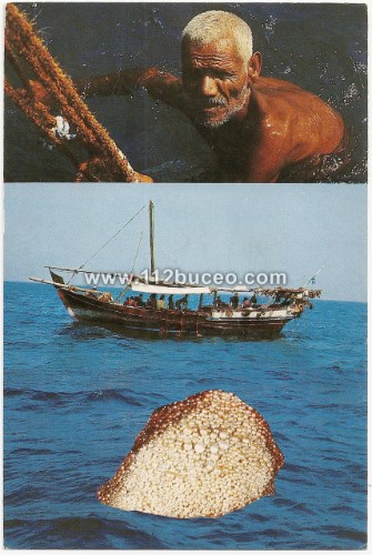 pearl_diver_boat.jpg