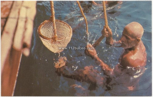 pearl_diver_surface.jpg