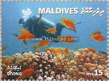 maldives_scuba15b.jpg